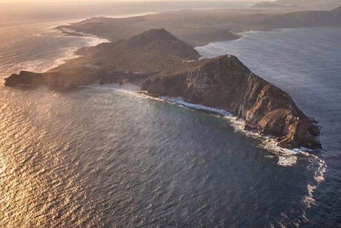 Private Cape Peninsula Tour - The best kind of day trip: private, coastal, and actually timed well