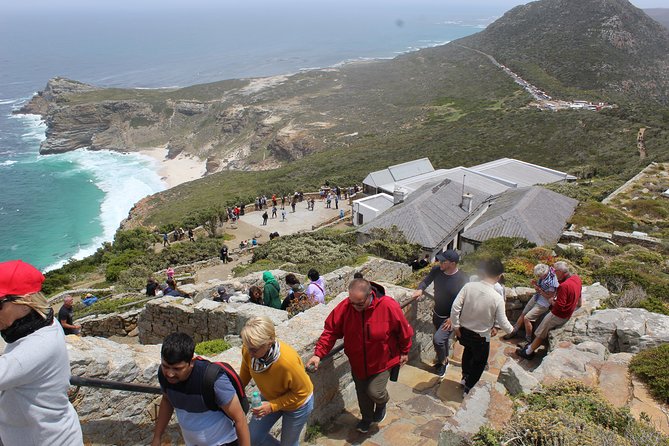 Private Cape Point Penguins Tour-Exploring the Cape Peninsula F/D - Camp’s Bay and Llandudno: Blue-Flag Beach Breaks and Celebrity Photo Moments