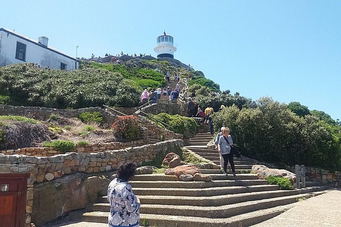 Private Cape Point Penguins Tour-Exploring the Cape Peninsula F/D - Cape Point Nature Reserve: Baboons, Chacma Wildlife, and Two Lighthouses