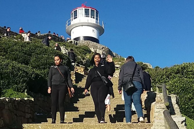 Private Cape Point Penguins Tour-Exploring the Cape Peninsula F/D - Cape of Good Hope: The South-Western Corner, Continent Edge Photos, and Koi San Stories