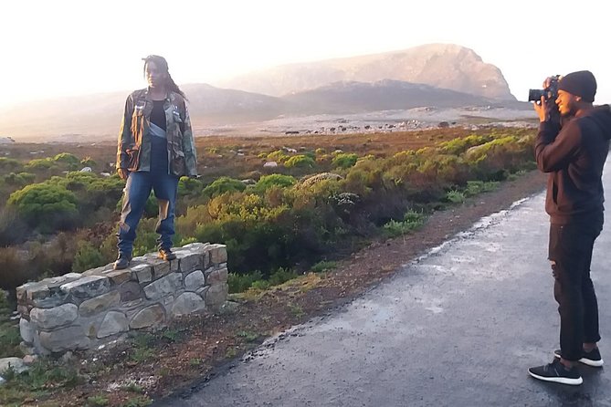 Private Cape Point Penguins Tour-Exploring the Cape Peninsula F/D - Hout Bay: Coffee Time, Art and Crafts, and Seal Island Options