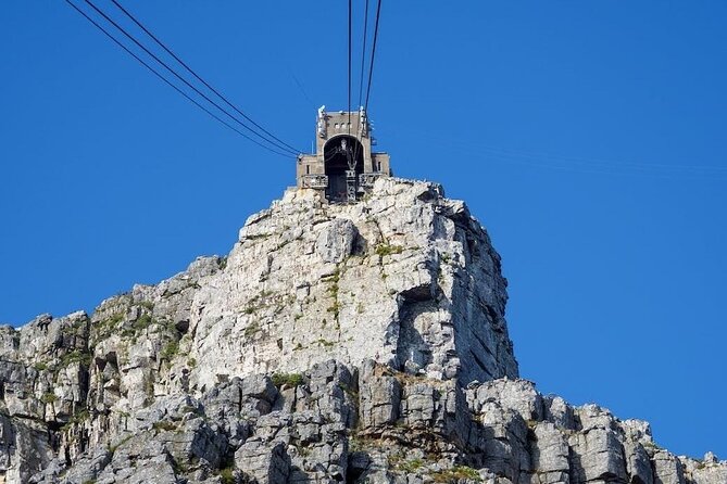 Private Cape Town City Tour - Private Cape Town pacing: a guide, a car, and fewer decisions