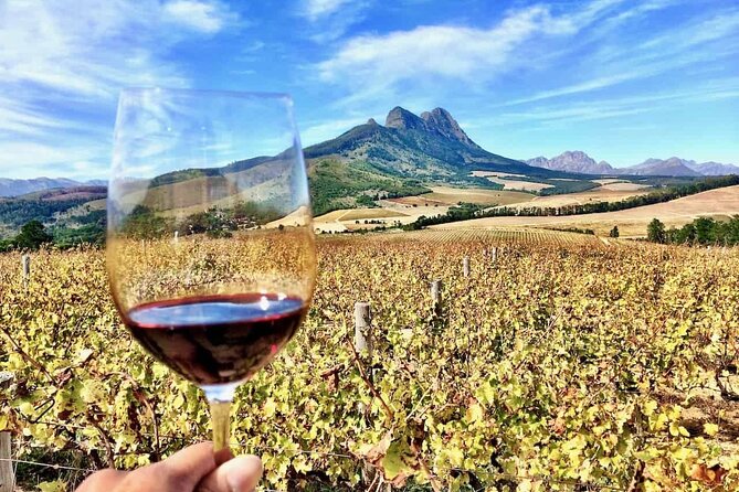 Private Cape Town City Tour table Mountain with wine tasting - The Big Picture: A Focused Cape Town Day With Real Variety