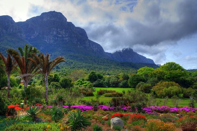 Private Cape Town City Tour table Mountain with wine tasting - World of Birds and Monkey Park: A Strong Change of Pace