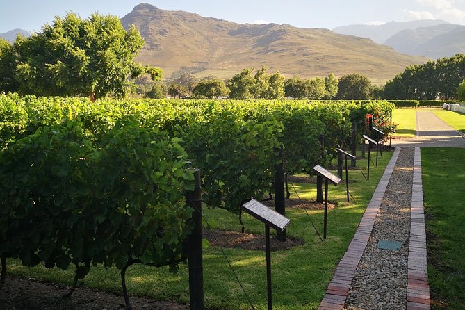 Private Cape Winelands Ful Day Ultra Flexible Guided Tour. - Key highlights to expect
