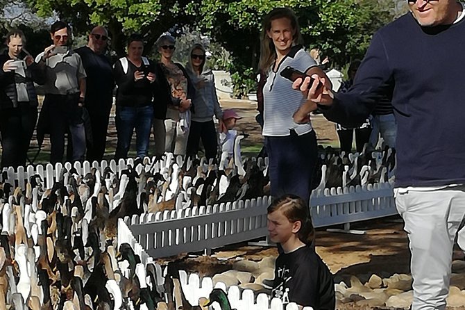 Private Cape Winelands Guided Full Day Tour from Cape Town - Delaire Graff Estate: Laurence Graff’s art collection and huge views