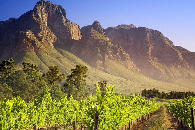 Private Cape Winelands Guided Full Day Tour from Cape Town - Who this tour fits best (and who may want a different style)