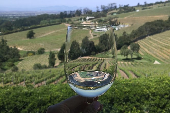 Private Cape Winelands Wine Tasting Tour - Guides, organization, and keeping the mood light