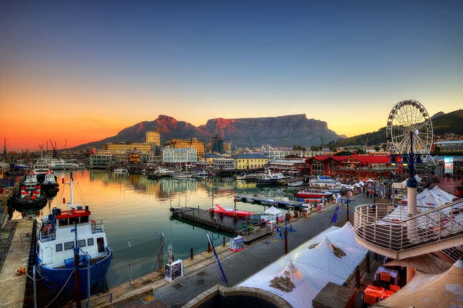 Private Custom Tour with a Local Guide Cape Town - Advice that changes the rest of your trip