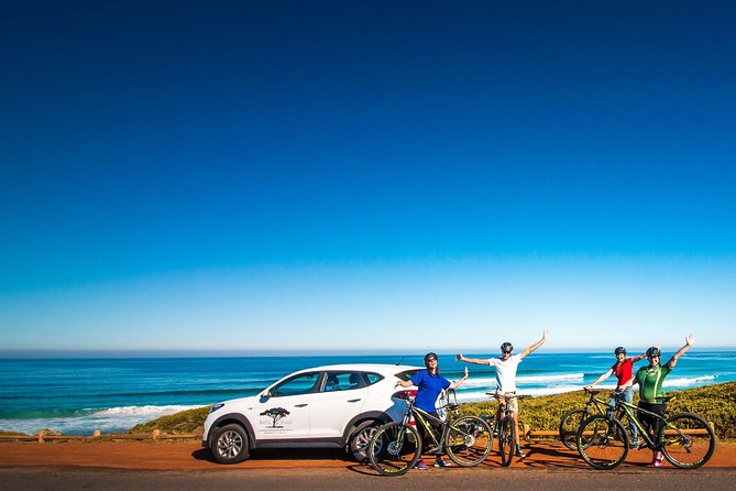 Private Cycling Tour of The Cape Peninsula from Cape Town - What a private Cape Peninsula day really feels like