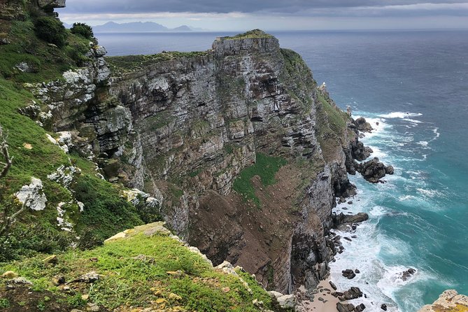 Private Day Tour to Cape Point , Penguins, Wine or Beer Tasting - A Private Cape Peninsula Day That Actually Feels Personal