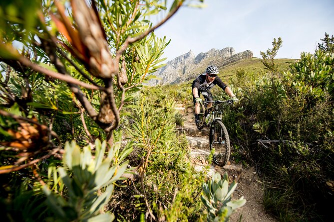 Private E-Bike Cape Town MTB Trails with a Pro - Meet Paris at Gear Change Tokai and Get Rolling