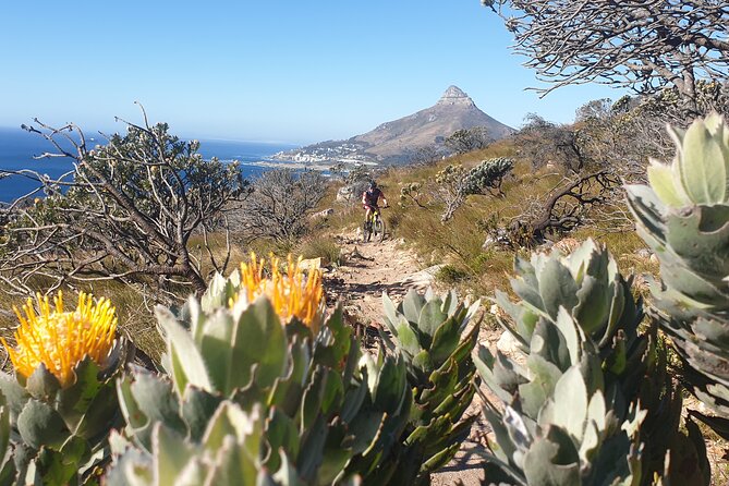 Private E-Bike Cape Town MTB Trails with a Pro - How the Route Gets Tailored to Your Fitness and Skill