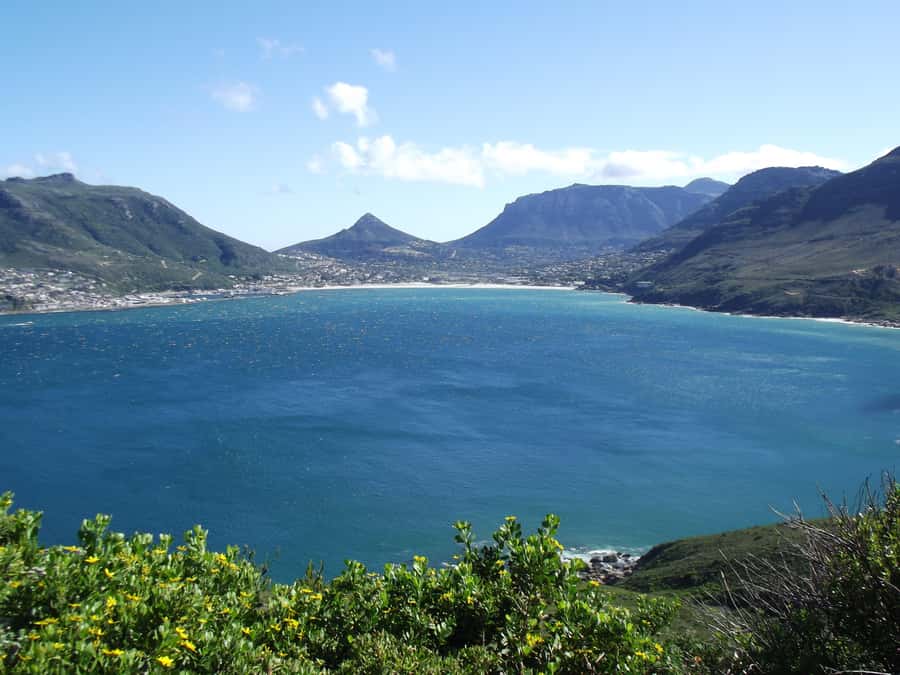PRIVATE FULL DAY CAPE PENINSULA TOUR - Hitting Boulders Beach: Penguins Up Close, With Optional Seal Island Time