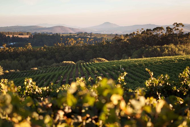 Private Full Day Stellenbosch Wine Tour with Pick Up and Drop Off - Key highlights to look for