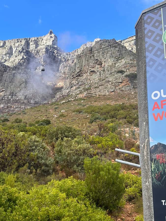 Private Full Day Tour to Robben Island and Table Mountain - My practical take: how to make this day feel worth it