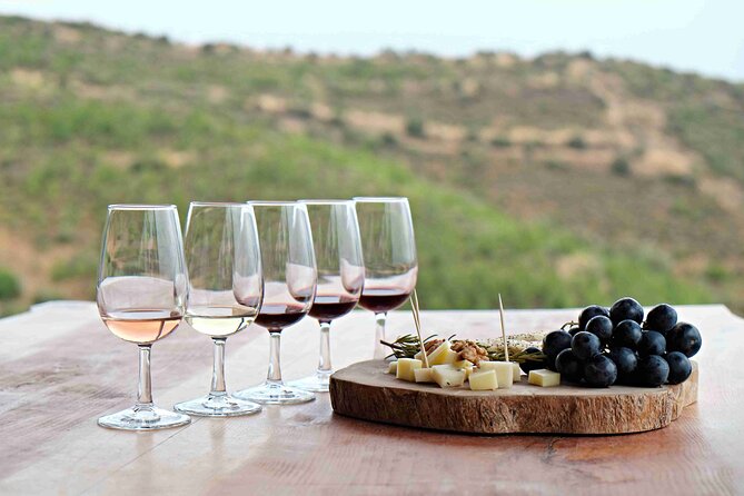 Private Full Day Wine Tour in Cape Town - How the private 8-hour Winelands plan actually feels