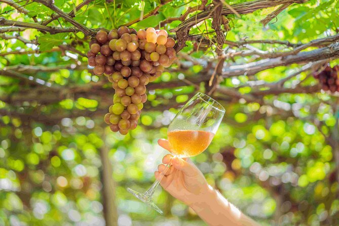 Private Full Day Wine Tour in Cape Town - Stop 5: Franschhoek village time, quick but worth it