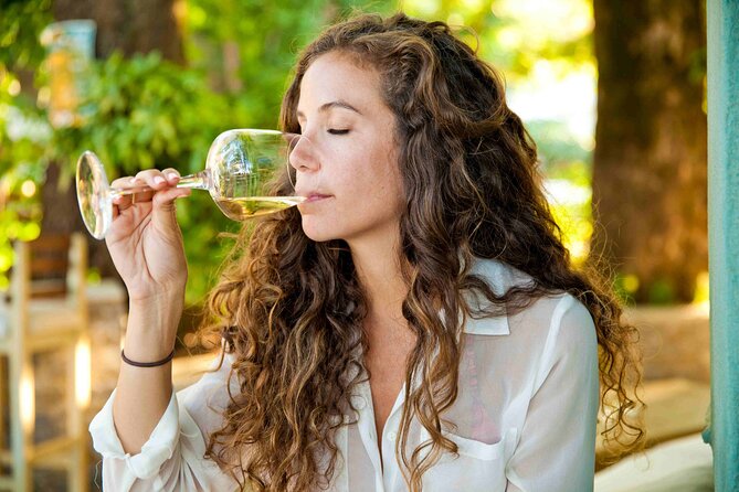 Private Full Day Wine Tour in Cape Town - Stellenbosch and Franschhoek: why the two-region combo works