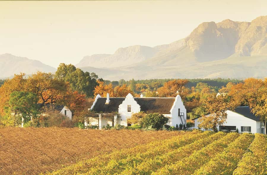 Private Full-Day Winelands Tour in Stellenbosch - Franschhoek: Huguenot village time plus a quick vineyard tram ride