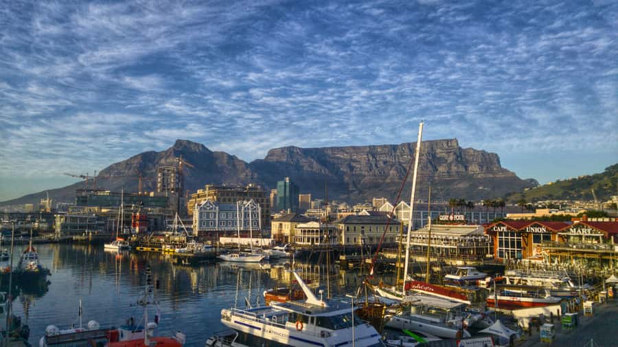 Private Guided Half-Day City Tour with Table Mountain - Price and Value: What $221 Buys You, and What It Does Not