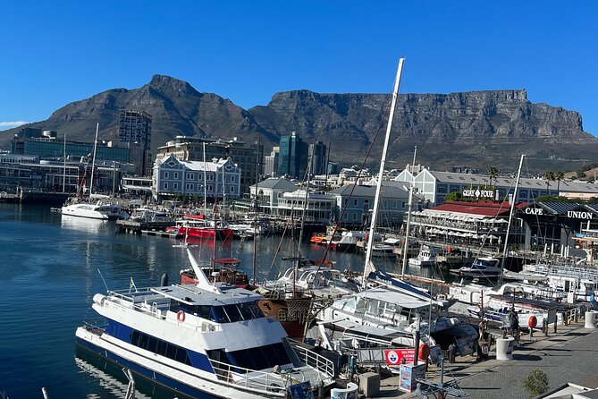 Private Guided Tour in Cape of Good Hope and Table Mountain - Table Mountain cable car: your hour with the fifth natural wonder of the world