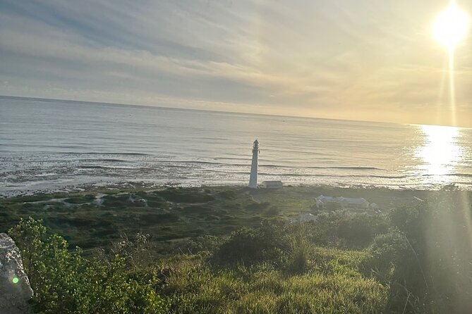 Private Guided Tour in Cape of Good Hope and Table Mountain - Maiden’s Cove Braai Area: the Twelve Apostles photo moment