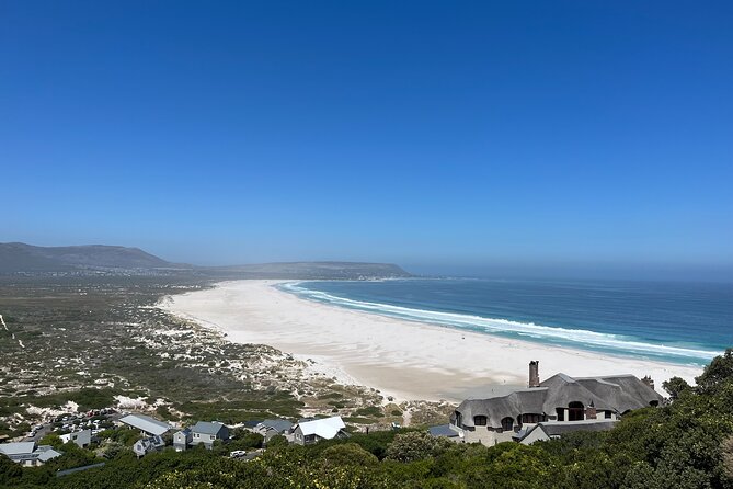 Private Guided Tour in Cape of Good Hope and Table Mountain - Jubilee Square and Just Nuisance, the Navy-listed Great Dane