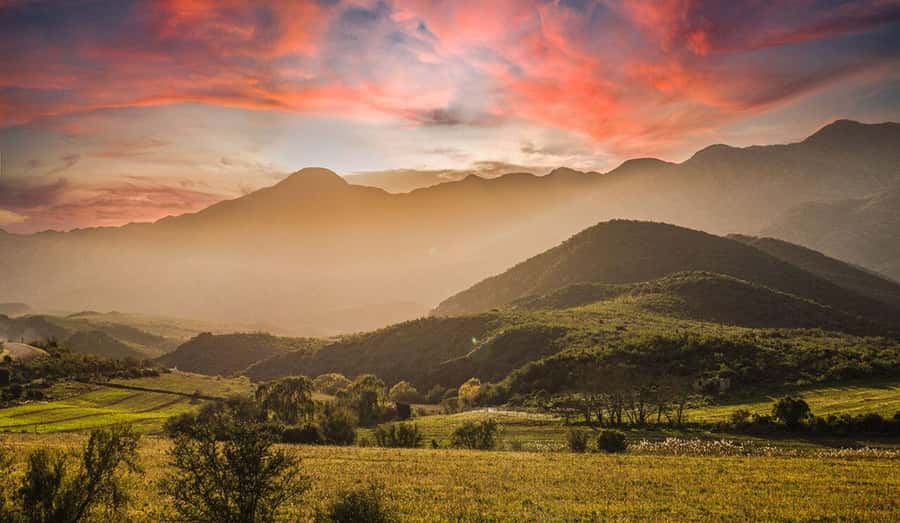 Private Oudtshoorn Full Day Tour - Why Oudtshoorn fits perfectly into a 10-hour day