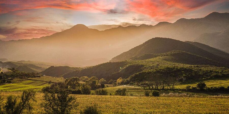 Private Oudtshoorn Full Day Tour - What to bring, what to expect, and how to avoid small day-trip headaches