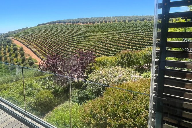 Private/Personalized Full Day Wine Tasting Tour Cape Winelands - Value for $202.01: What You Get (and What You Don’t)