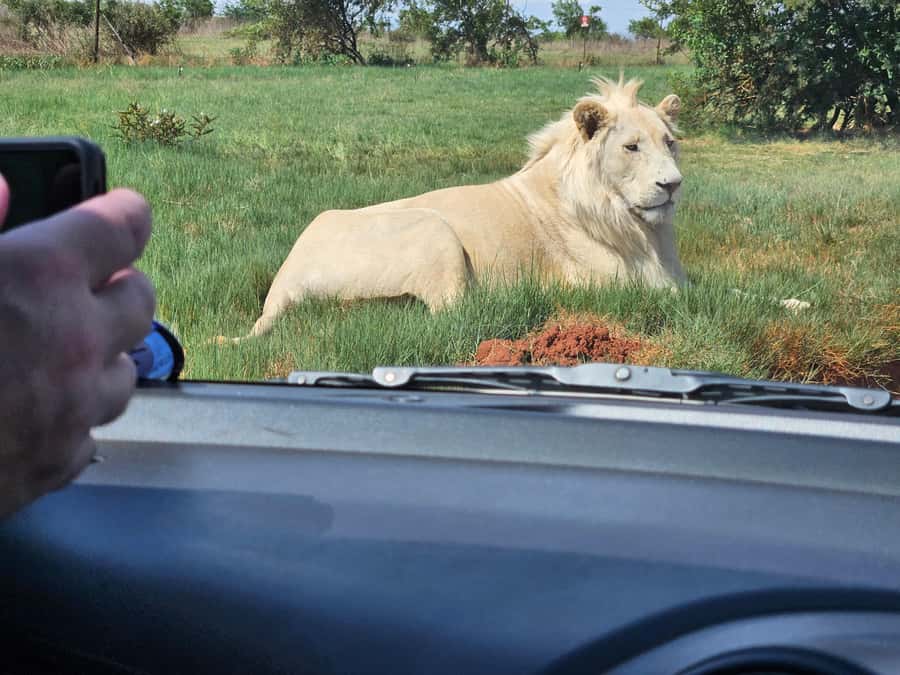 Private Rhino and Lion Park, Cradle Caves or Maropeng Museum - Maropeng Museum in the Cradle of Humankind: Mrs Ples and the big story