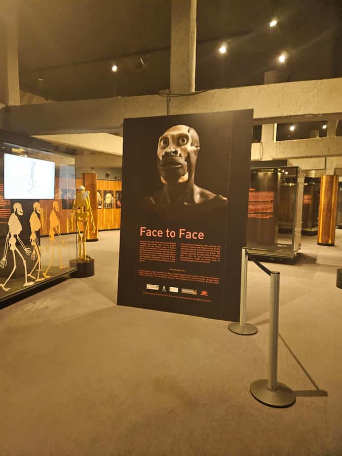 Private Rhino and Lion Park, Cradle Caves or Maropeng Museum - Sterkfontein Caves option: Little Foot and the UNESCO factor