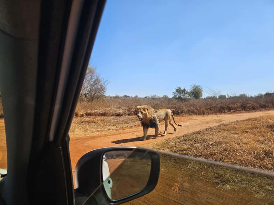 Private Safari. Cradle Humankind Caves or Maropeng Museum - Maropeng Museum at the Cradle of Humankind: Mrs Pletz and Deep Time