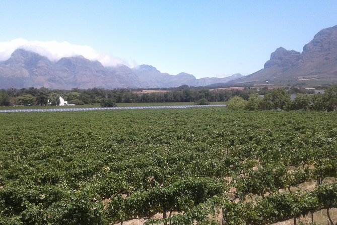 Private Stellenbosch, Franschhoek Paarl Wine Tour from Cape Town - The 9:30 pickup and timing that keeps wine stops fun