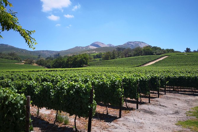 Private Stellenbosch, Franschhoek Paarl Wine Tour from Cape Town - Helshoogte pass views: the scenic break you actually remember