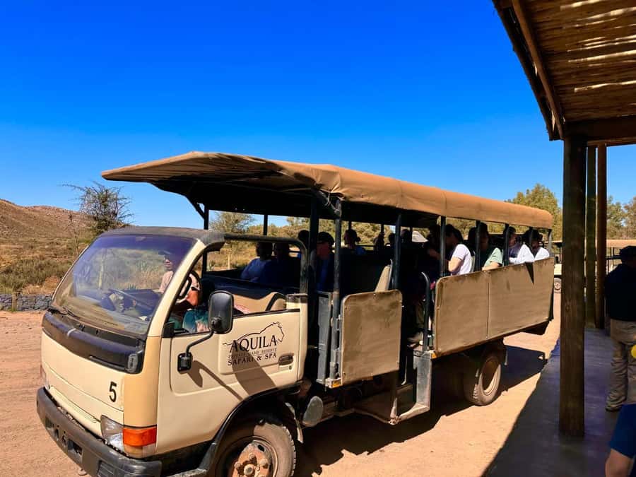 Private Tour: Big 5 Safari, Experience the wild animals - What you can realistically spot: Big 5 hopes plus lots of other wildlife