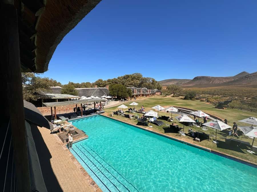 Private Tour: Big 5 Safari, Experience the wild animals - Tips for a smoother day on safari