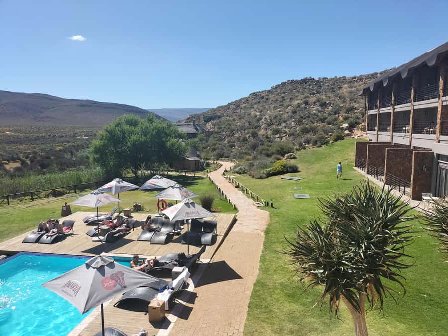 Private Tour: Big 5 Safari, Experience the wild animals - Door-to-door logistics with private transfers, shared safari drive