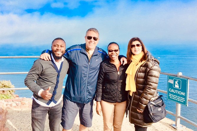 Private Tour: Boulders Beach Penguin Colony and Cape of Good Hope - Cape Point Ostrich Farm: A Short Stop With a Fun Twist