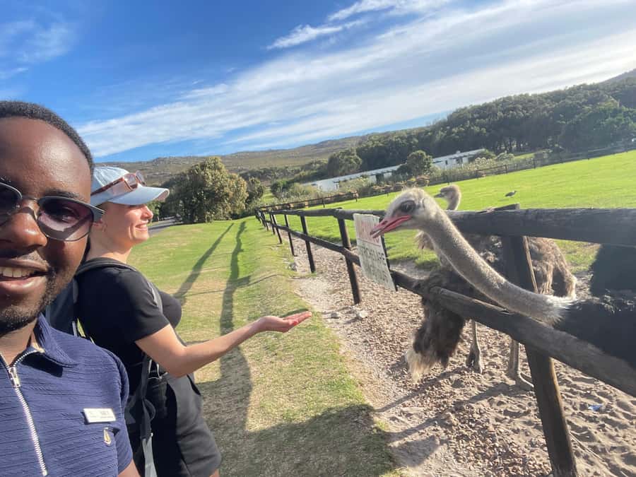 Private Tour:Cape of Good Hop>Chapman’s >Penguin>Seal island - Camps Bay and the Atlantic Seaboard Stops: Twelve Apostles Views
