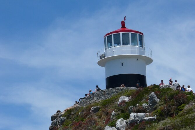 Private Tour: Cape of Good Hope, Cape point and Boulders Beach - Pickup, Timing, and What 9 Hours Really Means