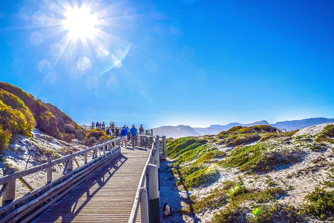 Private Tour: Cape of Good Hope, Cape point and Boulders Beach - Chapman’s Peak Drive: The Coastal Road Moment You’ll Remember