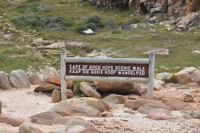 Private Tour Cape of Good Hope & Penguins Sightseeing Full day - Cape of Good Hope: Optional Hike or Drive, Plus the Big-Corner Feel