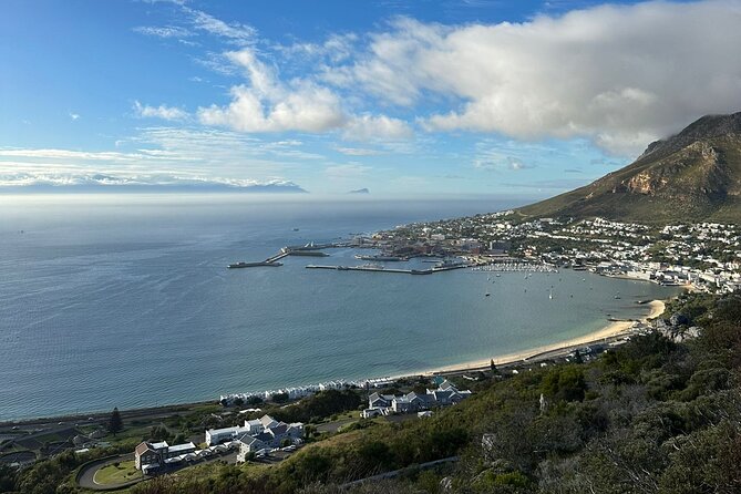 Private Tour Cape of Good Hope with Penguins - Chapmans Peak Drive: scenic speed dating with the coast