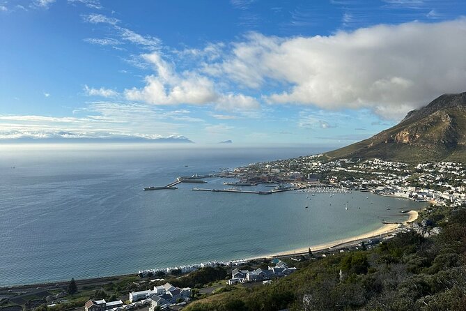Private Tour Cape of Good Hope with Penguins - Cape Point: lighthouse atmosphere and chacma baboons