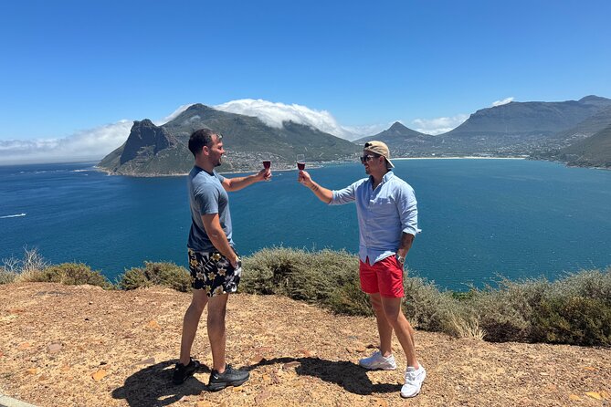 Private Tour:Cape Peninsula &Penguin Beach, Cape Point &more - How this private route makes Cape Peninsula feel doable