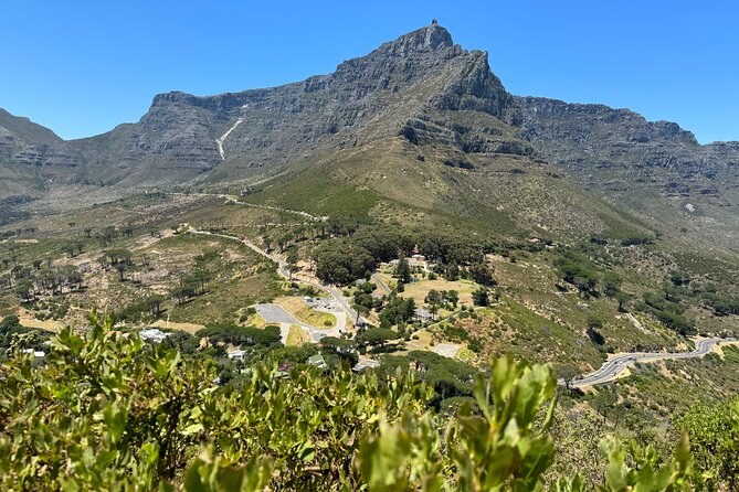 Private Tour:Cape Peninsula &Penguin Beach, Cape Point &more - Price and value: what your $308 per person actually buys