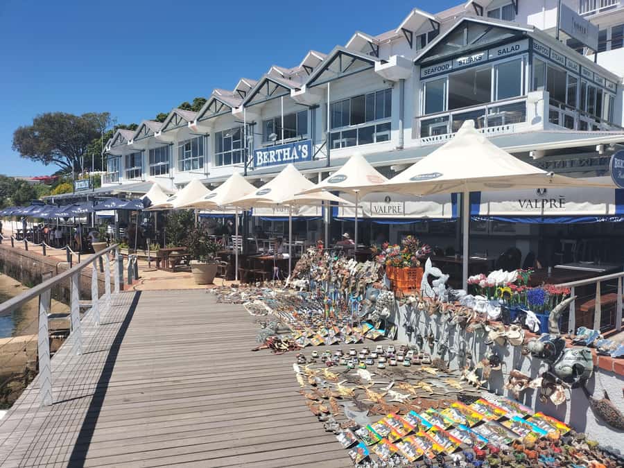 Private Tour: Cape Point, Penguins, Chapmans Peak & more... - Seal Island Optional Boat Cruise in Hout Bay
