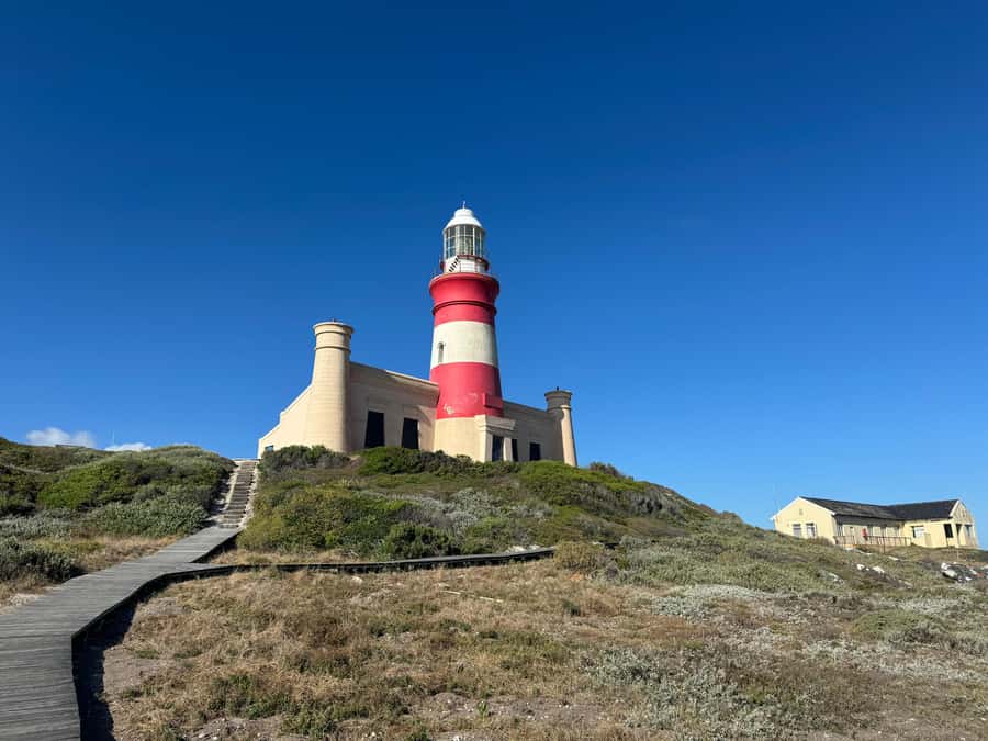Private Tour: Cape Town to Cape Agulhas where 2 Oceans Meet - Key Points Worth Marking on Your Map